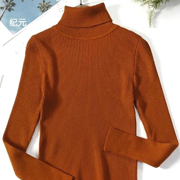 CHOCOLATE COLOR ONE SIZE FITS ALL FINE RIBBING LIGHTWEIGHT TURTLENECK SWEATER - Picture 1 of 1